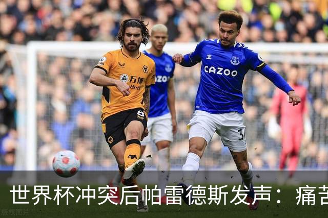 世界杯冲突后帕雷德斯发声：痛苦又骄傲，为阿根廷球衣拼尽全力