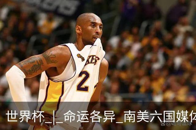 世界杯 | 命运各异 南美六国媒体评本队世界杯表现