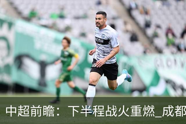 中超前瞻：下半程战火重燃 成都剑指三分申花求反弹