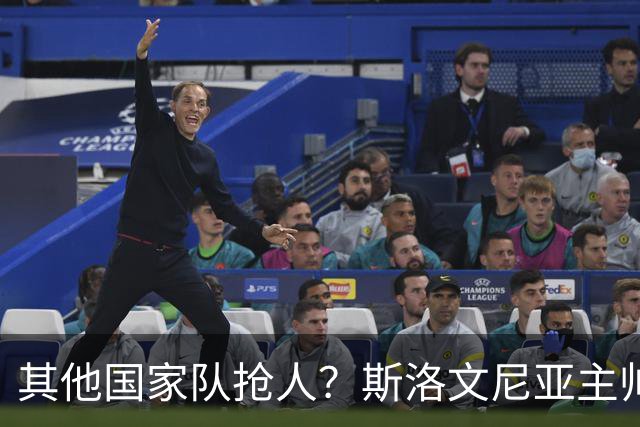 其他国家队抢人？斯洛文尼亚主帅：会在合适的时候召入托帕洛维奇