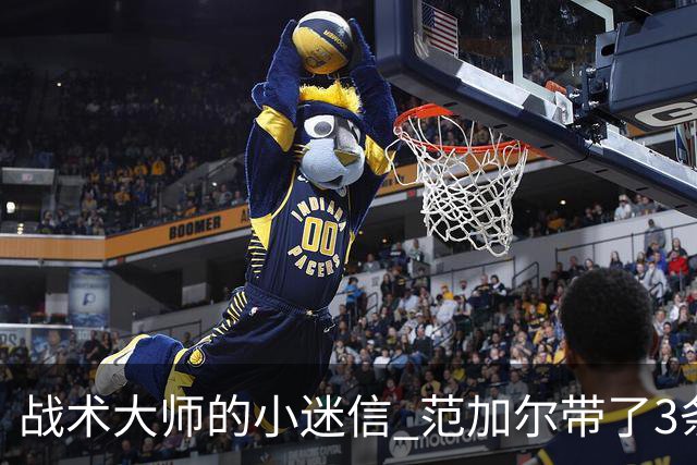 战术大师的小迷信 范加尔带了3条橙色内裤到卡塔尔