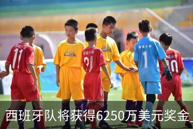 西班牙队将获得6250万美元奖金 每位球员将分得约88万美元